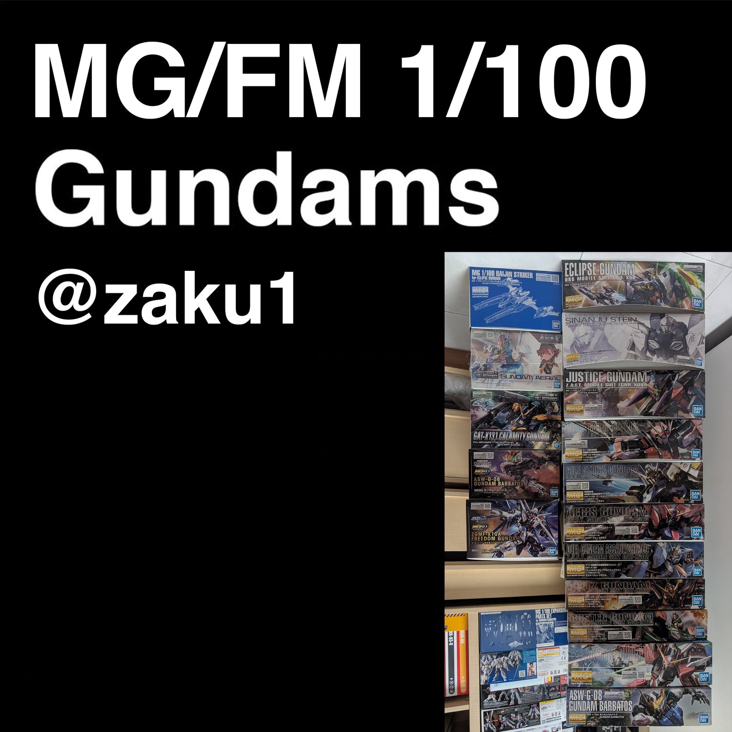 Master Grade 1/100