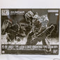 P-Bandai HG Netflix RFV Zaku Ⅱ F Type LeSEAN & Zaku Ⅱ (Unidentified type) LeSEAN
