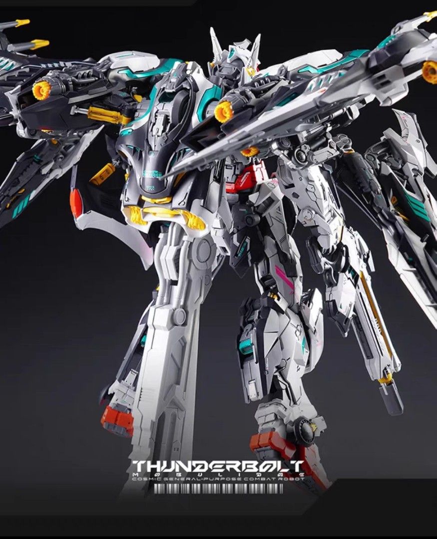 Thunderbolt v2 Manta Ray | 1/100 IN ERA Infinite Dimensions
