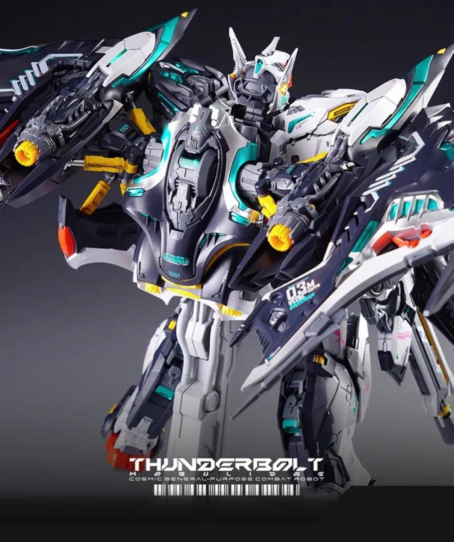 Thunderbolt v2 Manta Ray | 1/100 IN ERA Infinite Dimensions