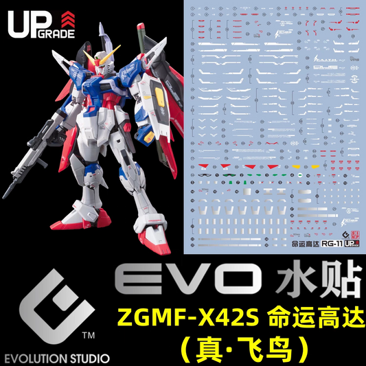 [Pre-order] EVO waterslide | RG Destiny Gundam